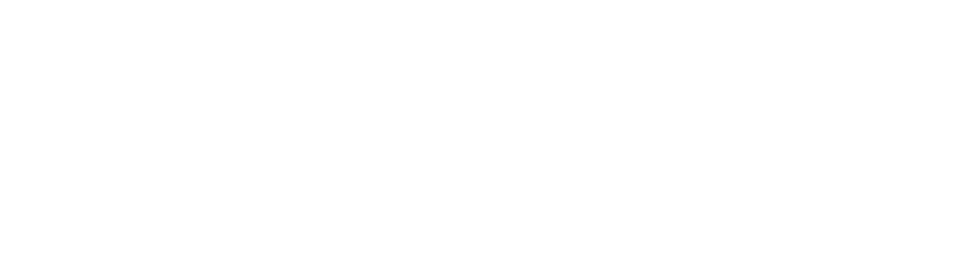 Our partner
